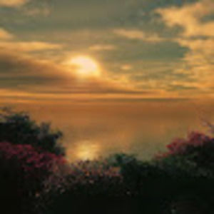 Meet your Posher, Sherry